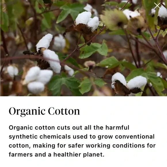 BRAND NEW WITH TAGS - Kelly Slater’s Outerknown Men’s Organic Cotton Sweater.